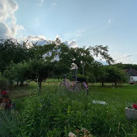 Caecilie 公寓 格斯韦因斯泰因