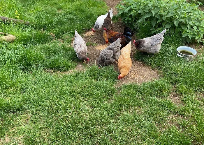 Caecilie Διαμέρισμα